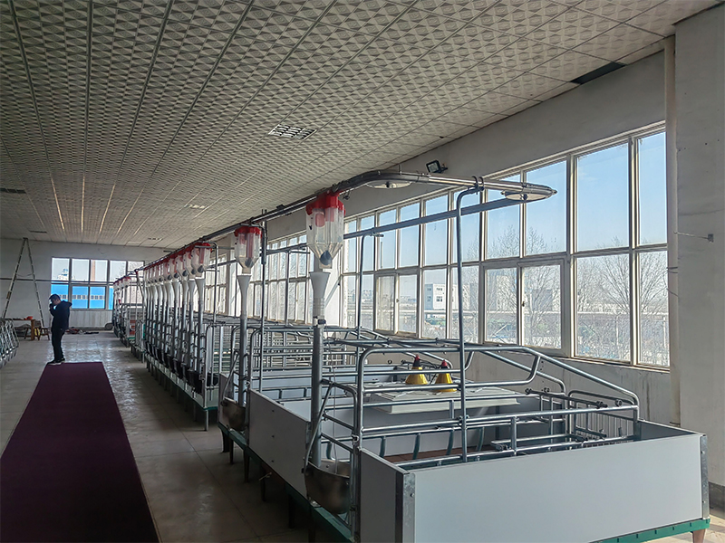 实力展示